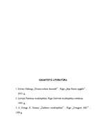 Referāts 'Melnie caurumi', 9.