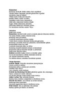 Konspekts 'Kultūra 19.gadsimtā', 2.