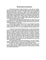 Eseja 'Birutas Baumanes gleznas', 1.