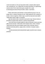 Konspekts 'Nelaimes gadījums', 2.