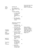 Konspekts 'Sporta stundas konspekts 2.klasei', 2.