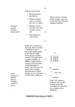 Konspekts 'Sporta stundas konspekts 2.klasei', 4.