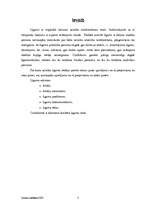 Referāts 'Līgumi', 3.