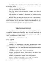 Referāts 'Līgumi', 6.