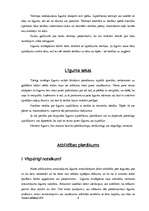 Referāts 'Līgumi', 8.