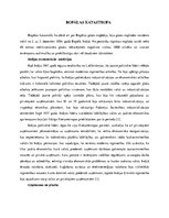 Referāts 'Bopālas katastrofa', 1.