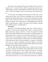 Referāts 'Bopālas katastrofa', 4.