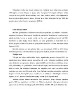 Referāts 'Bopālas katastrofa', 8.