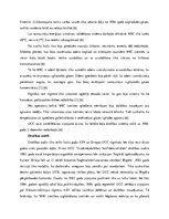 Referāts 'Bopālas katastrofa', 14.