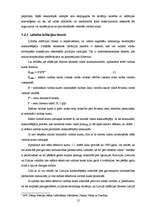 Diplomdarbs 'Inflācijas konverģences kā viena no optimālās valūtas telpas kritērija analīze', 12.