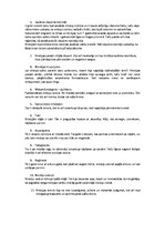 Prezentācija 'Nindzjas', 1.