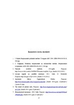 Referāts 'Starptautiskie valstu teritoriju konflikti. Konfliktu veidi un risināšanas metod', 17.