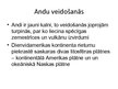 Prezentācija 'Andi', 11.