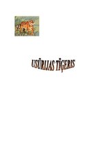 Referāts 'Usūrijas tīģeris', 1.
