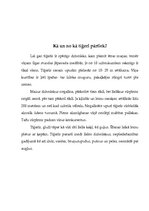 Referāts 'Usūrijas tīģeris', 4.