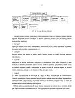 Referāts 'Tūrisma atpūtas bāze Kolkā', 16.