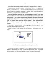 Referāts 'Tūrisma atpūtas bāze Kolkā', 21.