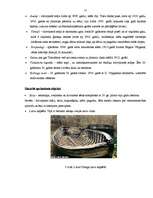 Referāts 'Tūrisma atpūtas bāze Kolkā', 54.