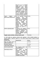 Biznesa plāns 'Ierakstu studija un atbalsta centrs jaunajām grupām SIA "Rock nation"', 9.