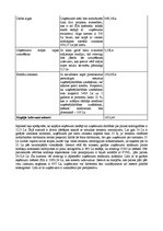 Biznesa plāns 'Ierakstu studija un atbalsta centrs jaunajām grupām SIA "Rock nation"', 10.