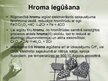 Prezentācija 'Viss par hromu', 15.