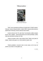 Referāts 'Tibeta', 11.