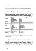 Biznesa plāns 'SIA "Vecā Daugava" biznesa plāns', 15.