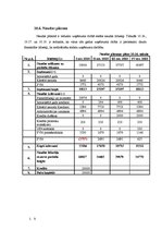 Biznesa plāns 'SIA "Vecā Daugava" biznesa plāns', 28.