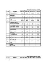 Biznesa plāns 'SIA "Vecā Daugava" biznesa plāns', 29.