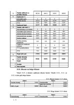 Biznesa plāns 'SIA "Vecā Daugava" biznesa plāns', 30.