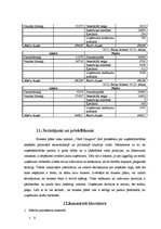 Biznesa plāns 'SIA "Vecā Daugava" biznesa plāns', 31.