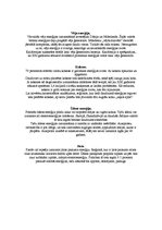 Referāts 'Vides piesārņošana', 7.