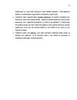 Referāts 'Mārketinga komunikāciju plāns tipogrāfijas “S&G” ražotajiem reklāmas materiāliem', 20.