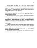 Referāts 'Mārketinga komunikāciju plāns tipogrāfijas “S&G” ražotajiem reklāmas materiāliem', 22.