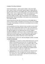 Konspekts 'Intelekts', 3.