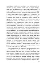 Diplomdarbs 'Sarunbotu izmantošana augstākajā izglītībā: digitālās anomijas izpausmes Latvija', 13.