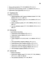 Referāts 'Programmatūras izstrādes standarti', 18.