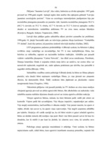 Diplomdarbs 'Vardarbīgu datorspēļu ietekme uz pusaudžu agresīvo uzvedību', 50.