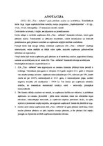 Diplomdarbs 'SIA "Tīna - mēbeles" gada pārskata analīze un novērtēšana', 2.
