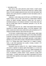 Diplomdarbs 'SIA "Tīna - mēbeles" gada pārskata analīze un novērtēšana', 22.