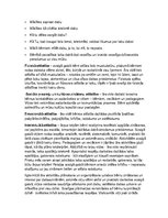 Eseja 'Brīvdabas pedagoģija', 2.