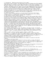 Eseja 'Chinese Firework Industry', 1.