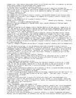 Eseja 'Chinese Firework Industry', 2.