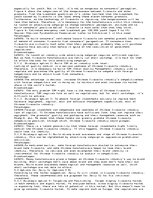 Eseja 'Chinese Firework Industry', 4.