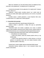 Referāts 'Grāmatvedības darba organizācija AS "Liepājas siltums"', 10.