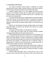 Referāts 'Grāmatvedības darba organizācija AS "Liepājas siltums"', 11.