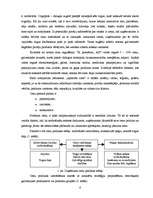 Referāts 'Preces jēdziens, īpašības un cenu veidošana', 6.