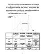 Referāts 'Preces jēdziens, īpašības un cenu veidošana', 20.