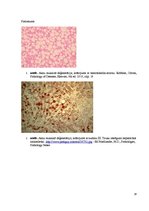 Konspekts 'Kolokvija kļūdu labojums', 14.