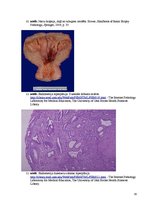 Konspekts 'Kolokvija kļūdu labojums', 19.